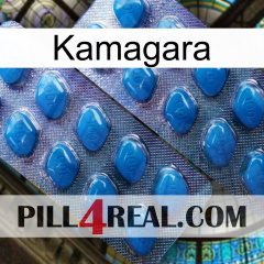 Kamagara viagra2